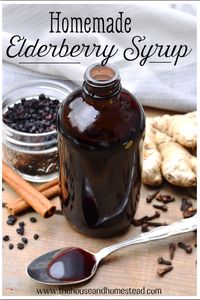 Homemade elderberry syrup is a great thing to have on hand as we head into cold and flu season. This recipe is easy, beginner-friendly, and so good that even your kids won't mind it!