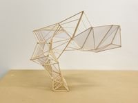 CANTILEVER Structure Design Inspired by Dragonfly's Wings