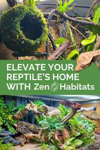 Zen Habitats reptile enclosures provide you and your pet the quality enclosures you need to create your reptile's PERFECT oasis. Add some Zen to your and your pets' lives! - Stackable, expandable, and collapsible - Easy assembly - Comes with a 5-year warranty - Free shipping - Over 2,500 5-star reviews