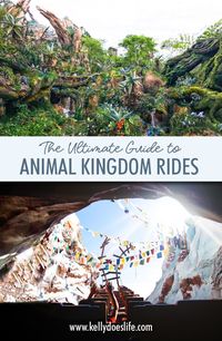 Are you looking for the best rides in Animal Kingdom? Do you want a list of all Walt Disney World Rides by land? Here is the ultimate guide for Animal Kingdom Rides! Learn what are for kids, which are for adults, the height requirements, if they have fast pass, tips on when you should ride them, and if they are even worth riding! From Expedition Everest to Pandora, you are covered!