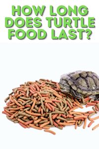 How Long Does Turtle Food Last? Keeping your turtle happy and healthy starts with fresh food. Find out how long turtle food typically lasts, from commercial pellets to natural snacks, and how storage conditions can make a big difference.