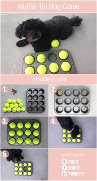 Your dog will love this muffin tin treat game!