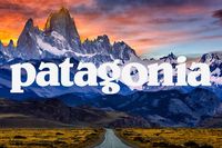 Patagonia: Marke spendet 10 Millionen Steuergewinn für die Umwelt : Blog übers Laufen in Berlin vom Laufanfänger bis Halb-Marathon | Sports-Insider