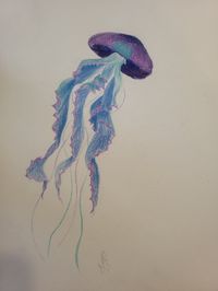 first attempt at a magical little jellyfish