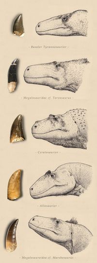 The theropods of Northern Germany by Joschua Knüppe