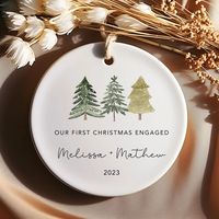 #wedding #weddingideas #christmas #christmasornaments