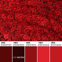 10 Valentine's Day Color Palettes plus FREE Colors Guide 2020 - Spring 2020, color palette, color palettes ideas, colour palettes, color scheme, color inspiration, color combination, art tutorial, collage, digital art, canvas painting, wall art, home painting, photography, weddings by color, inspiration, vintage, wallpaper, background, rustic, seasonal, season, natural, nature