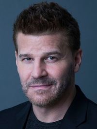 David Boreanaz - Actor