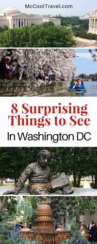 8 Great Surprising Things to See in Washington DC • McCool Travel