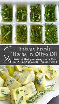 freeze: fresh herbs in olive oil