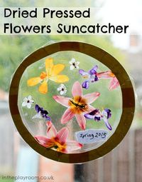 Springtime suncatcher with dried pressed flowers