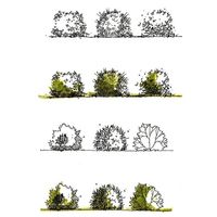 sketching tutorial course. plants and trees . Rendering Tutorial .#architecture#  sketching tutorial course. plants and trees . Rendering Tutorial .#architecture##architettura#arquitectura#建筑#architektura#die  The post sketching tutorial course. plants and trees . Rendering Tutorial .#architecture# appeared first on Architecture Diy.