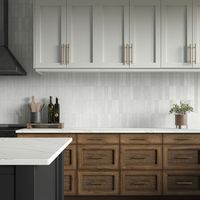 STAINMASTER Zellige-style White 2-in x 8-in Glossy Porcelain Subway Wall Tile (0.111-sq. ft/ Piece) Lowes.com