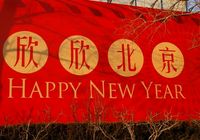 The Year of the Rat and Other Fun Facts About the Chinese New Year