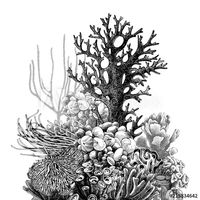 Stock Image: Hand drawn coral reef