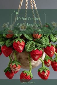 Transform your home or office into a green paradise with these 10 creative Crochet Hanging Plant Ideas! Each idea features patterns that are easy to follow, allowing you to bring a touch of nature indoors. These charming plant hangers make excellent handmade gifts for plant lovers and add a personal flair to any space. Get inspired to add gorgeous crochet creations that highlight your favorite plants in unique ways. Whether you’re a beginner or an expert, these crochet designs can be a fun project for all skill levels.