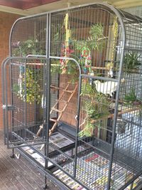 This is almost the exact cage I have my Green Wing Macaws in!