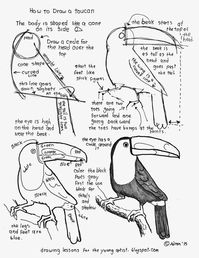 How To Draw A Toucan Bird, Free Printable Worksheet