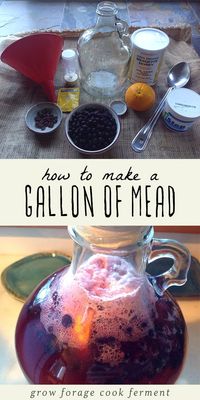 How to Make Mead: 1 Gallon Mead Recipe - Learn how to make your own homemade mead with this simple mead recipe! Mead is a fermented honey and water homebrew that is also known as honey wine. It's one of the oldest fermented drink recipes, and simply delicious. Learn everything you need to know about making a one gallon batch of mead at home! mead making for beginners | easy mead recipe