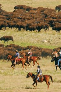 Travel | South Dakota | USA | Bucket List | Places To Go | Adventure | Attractions | Things To Do