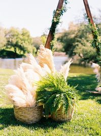 pampas grass and ferns