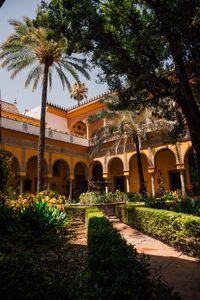 If you're coming for a holiday or day trip to Seville, you're in for a treat.