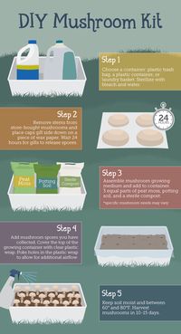 Cultivando setas en casa: Kit de setas - Growing Mushrooms at Home: DIY Mushroom Kit http://www.fix.com/blog/growing-mushrooms-at-home/