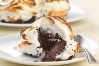 Chocolate Fudge Cake Bombes