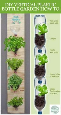 Using plastic bottles for gardening is an easy and sustainable way of gardening. This method, often referred to as "bottle gardening" or "bottle recycling gardening," involves repurposing plastic bottles as plant containers to create a mini garden. It's an innovative and eco-friendly approach that can work well for small spaces, balconies, windowsills, and even vertical gardens.