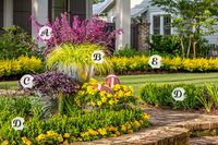 Welcome guests with this Southern-style game day garden. A- ‘Love and Wishes’ Salvia:  B- Evercolor® ‘Everillo’ Carex:  C- Purple Pixie Loropetalum:  D- Baby Gem™ Boxwood:  E- ‘Sunshine’ Ligustrum: