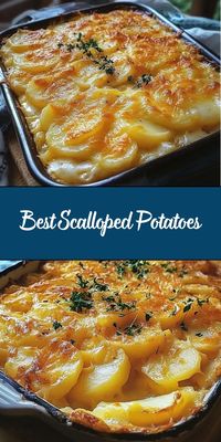 These Scalloped Potatoes are creamy, cheesy, and perfectly seasoned, making them the ultimate comfort food side dish. Thinly sliced potatoes are layered with a rich, garlicky cream sauce and baked to golden perfection. Perfect for holidays, family dinners, or any special occasion!