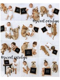 Taking monthly baby pictures is an easy way to document your little one’s growth. Here are 23 creative monthly baby photo ideas that are simple and cute! These baby pictures are perfect whether you have a boy or girl. You'll love the fun and cute girl ideas and cool boy ideas using a letterboard, blanket and easy DIY props to capture your baby's first year.