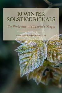 Discover heartwarming Winter Solstice rituals designed to welcome the light back into our lives. From lighting candles to meditation, these practices connect you to nature’s rhythms and foster a deeper appreciation for the winter season. Perfect for those who seek intentional, peaceful holiday moments. #ReturnOfLight #WinterRituals #NatureConnection