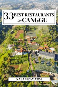 Ready to indulge in Bali's culinary scene? Discover the 33 best restaurants in Canggu with our 2024 guide! From trendy cafes and beachside eateries to local warungs serving authentic Indonesian cuisine, there’s something for every palate. Dive into vibrant flavors and unique dining experiences that make Canggu a food lover's paradise. Bon appétit! 🌟❤️ #CangguEats #BaliRestaurants #FoodieGuide Save so you don’t miss out!!