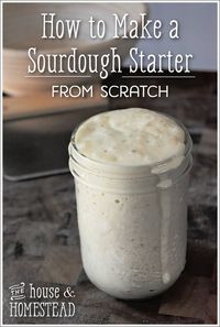 How to Make A Sourdough Starter From Scratch - The House & Homestead