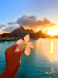 my photo of bora bora with a flower i found