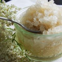 City foraging: Elderflower sorbet