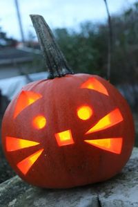 73. KITTY PUMPKIN CARVING