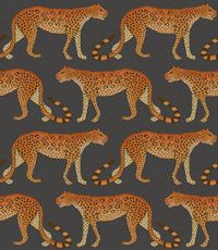 Leopard Walk Charcoal / Orange wallpaper by Cole & Son