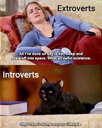 introvert vs extrovert meme