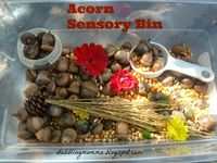 Dabblingmomma: Acorn Sensory Bin