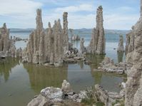 Mono Lake (CA, USA) is highly alkaline due to runoff from the surrounding mountains and the fact that the lake has no outlet other than evaporation. The runoff has a high concentration of calcium carbonate that forms into the tufa towers in and around the lake.