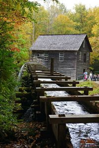 Mingus Mill || Great Smoky Mountains National Park || Dirt In My Shoes