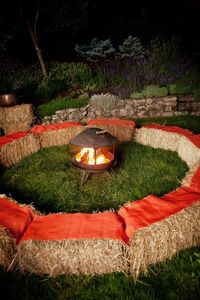 laid-back party outside. I'm going with a haunted harvest theme. I think it fits perfectly when doing an outdoor party/bonfire.....and it's probably one of the more cheaper themes to go with I'll decorate with cornstalks, bails of hay, pumpkins