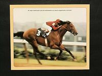 ASPIDISTRA PHOTO HORSE Racing DR FAGER - $7.99 | PicClick