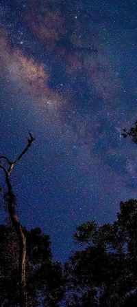 Amazônia, Brasil 