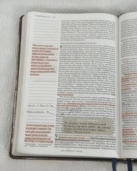 The first chapters of 1 Chronicles can be difficult to get through. Genealogies, geographies, and work duties can make for some dry reading, but there are many important reminders and little nuggets to be cleaned from such texts. . . . #catholic #christian #catholicwoman #catholicmom #catholicconvert #bible #holybible #theology #biblestudy #biblestudynotes #biblenotes #biblejournaling #scripture #wordofgod #catholicbiblestudy #catholicbiblejournal #catholicbible #journalingbible #mybible #in...