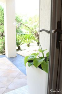 Self-Watering Planters and a Stylish Front Porch | House Full of Summer - front porch decor, white tall planters, summer front porch, summer decor, coastal home exterior, white porch, Florida home, Jackson & Perkins #housefullofsummer