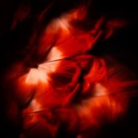 Original Art Digital/Color Photography, measuring: 15W x 15H x 0.1D cm, by: Veneta Karamfilova (Bulgaria). Styles: Fine Art, Abstract. Subject: Floral. Keywords: Flower, Tulips, Chamber, Black, Abstract, Dream, Red, Square, Floral, Dark, Botanical, Nature. This Digital/Color Photography is one of a kind and once sold will no longer be available to purchase. Buy art at Saatchi Art.