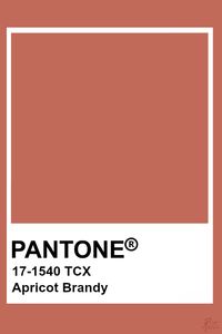 Pantone Apricot Brandy